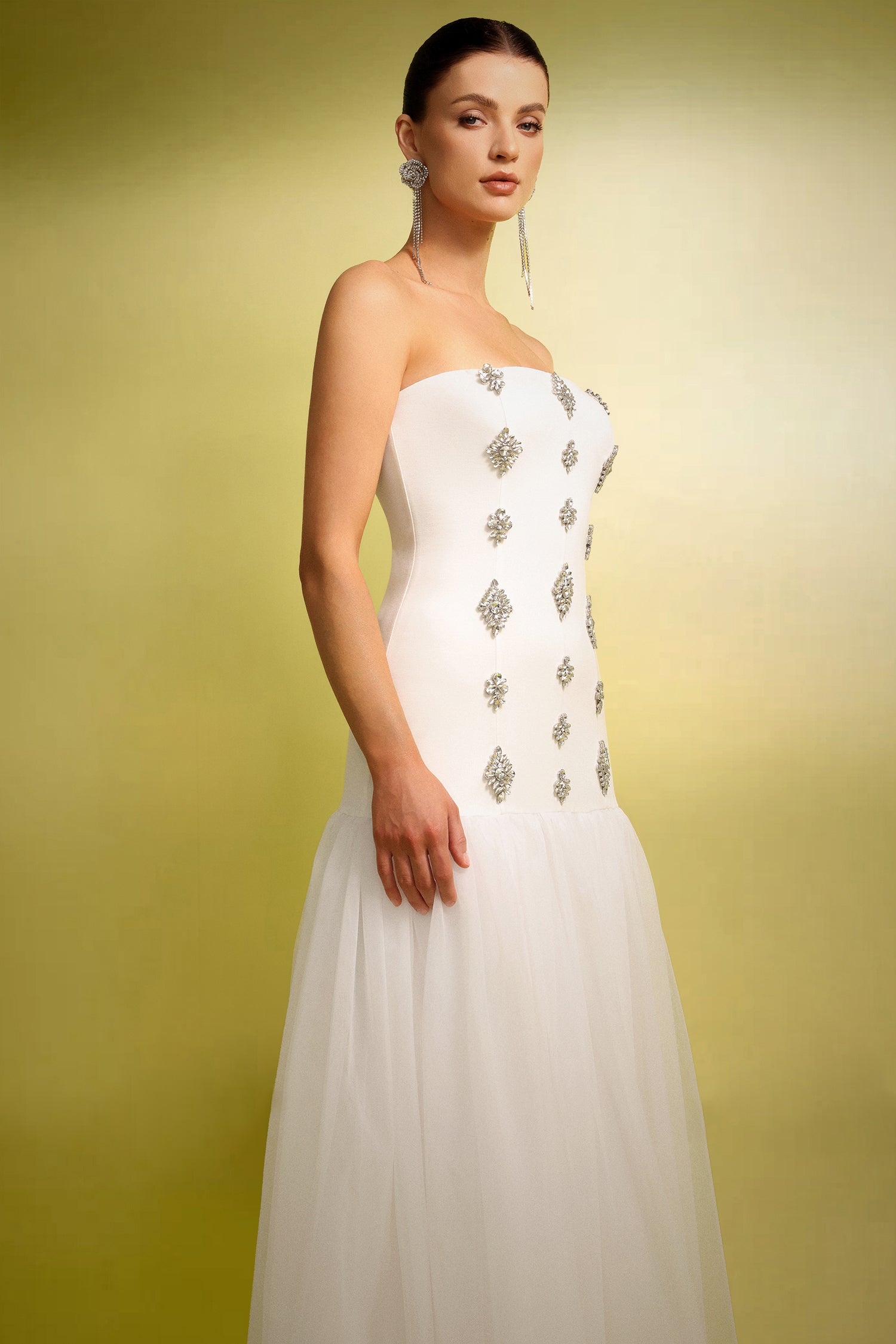 Celestial Bloom Dress