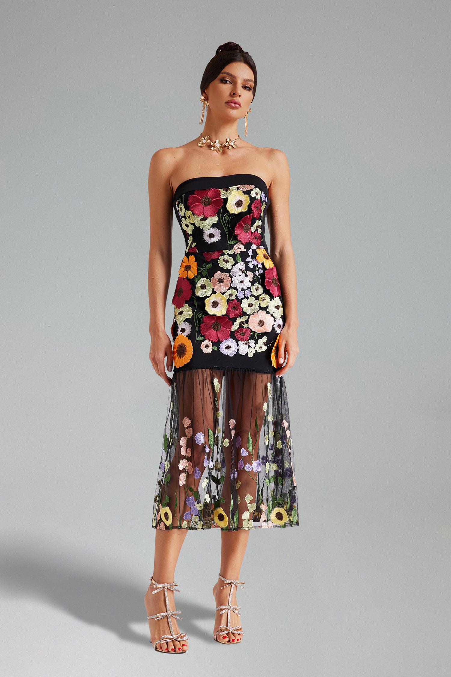 Sheer Elegance Dress