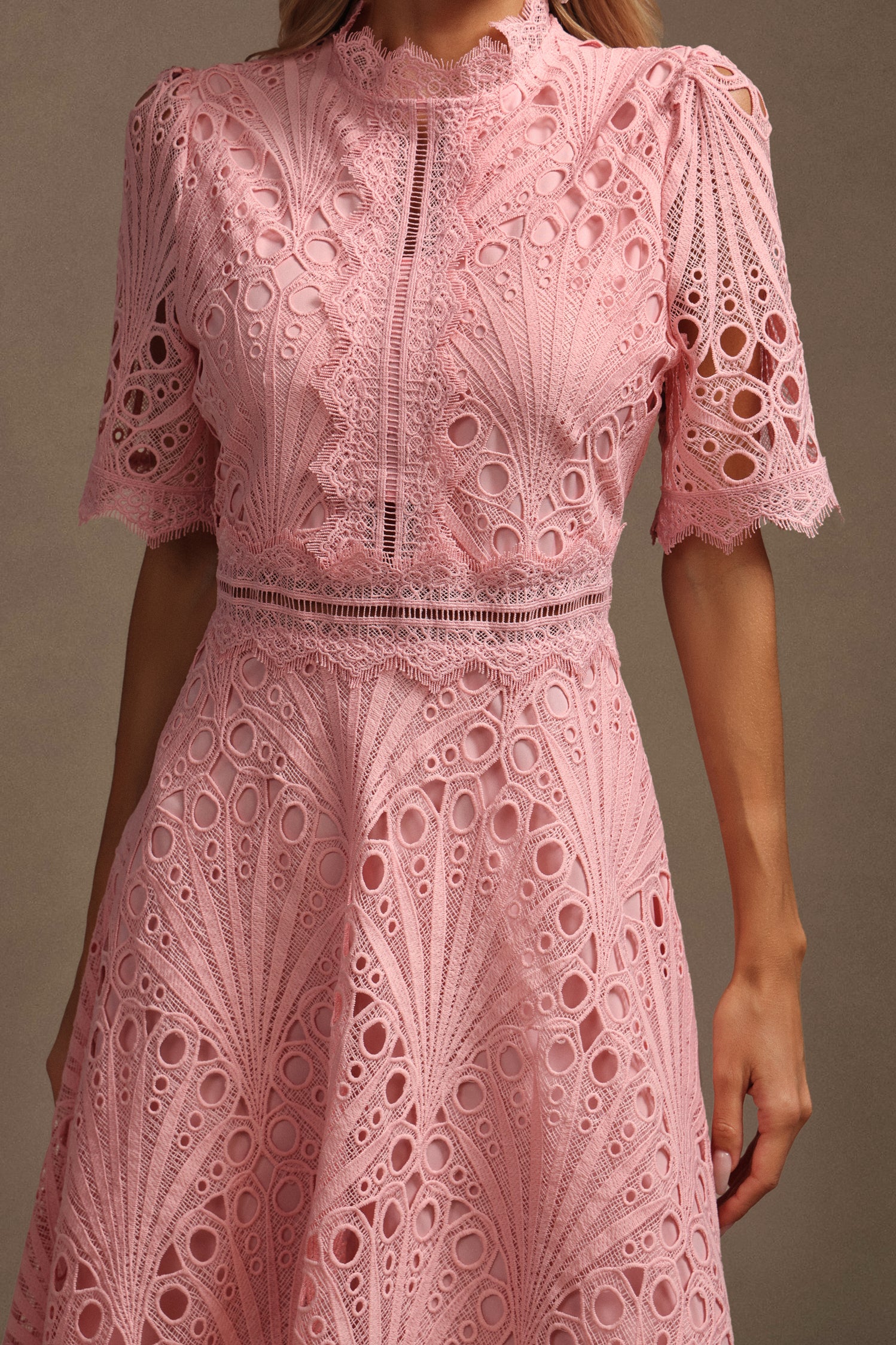 Rosewood Lace A-Line Dress