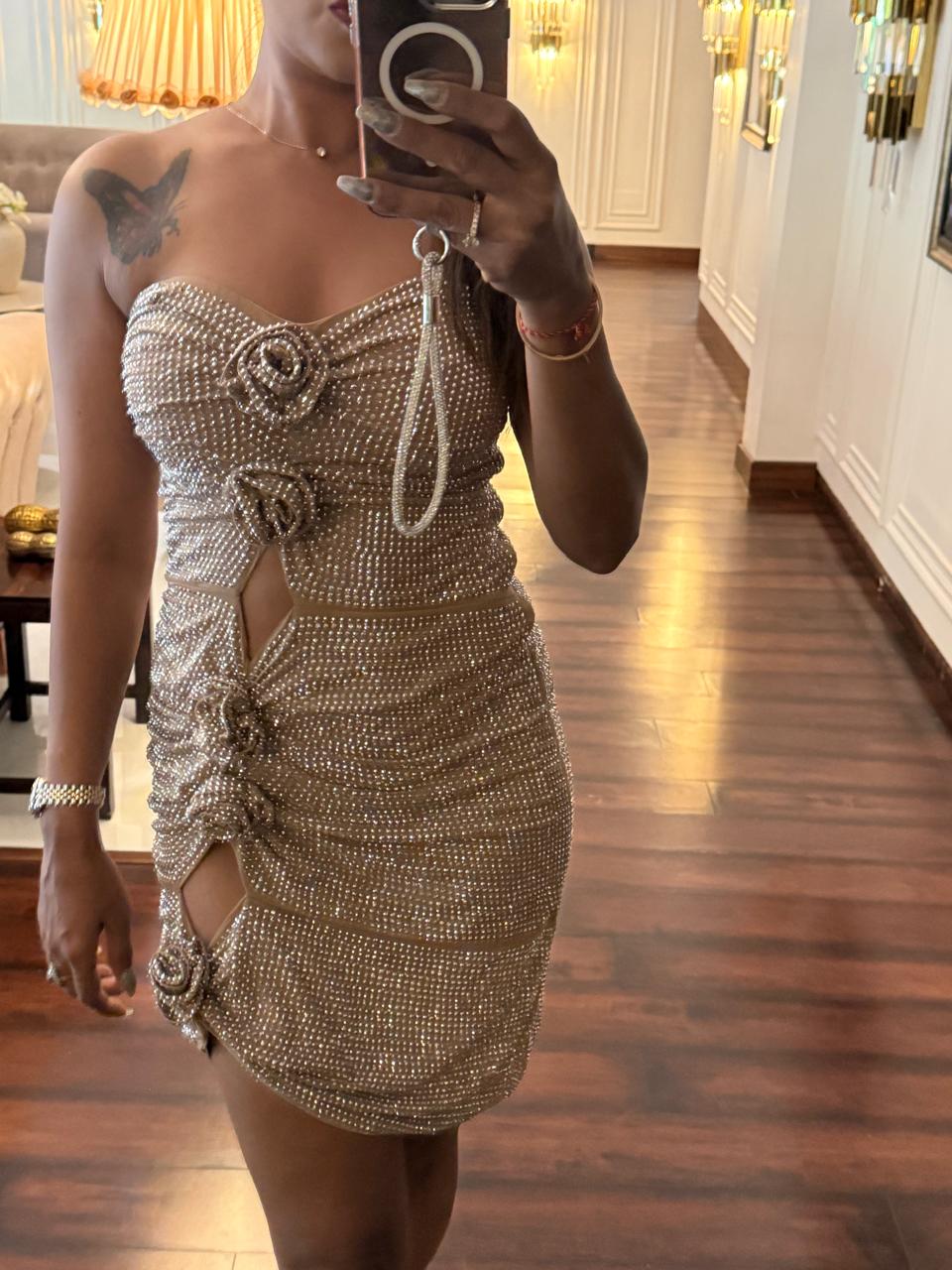 Champagne Bloom Embellished Dress