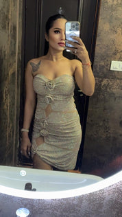 Champagne Bloom Embellished Dress