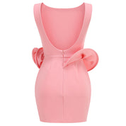 Pink Aura Sculpted Dress