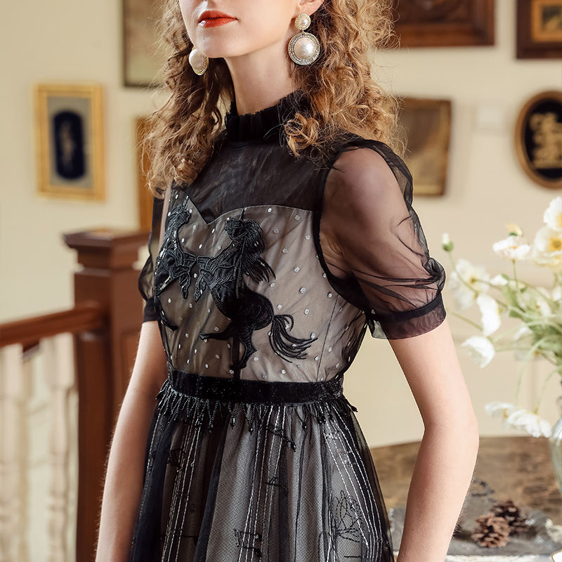 Black Sheer Mesh Midi Dress with Embroidery