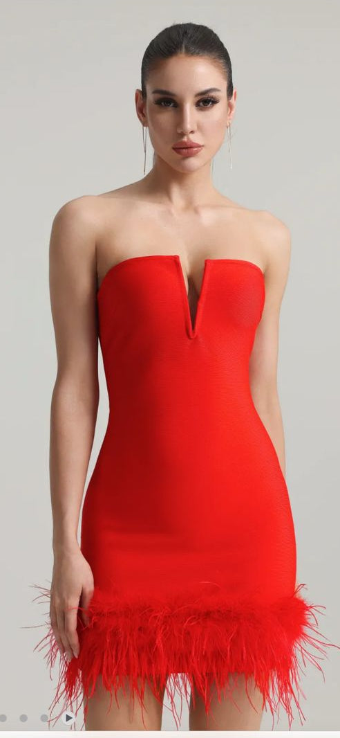 Red Diva Strapless Party Dress