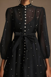 Starlit Charm Dress