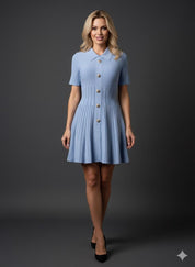 Bluebell Button-Down Dress