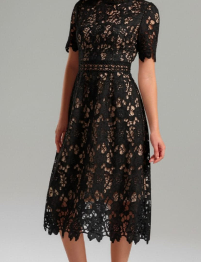 Whispering Bloom Lace Label Dress