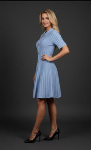 Bluebell Button-Down Dress