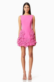 Blush Bloom A-Line Mini Dress