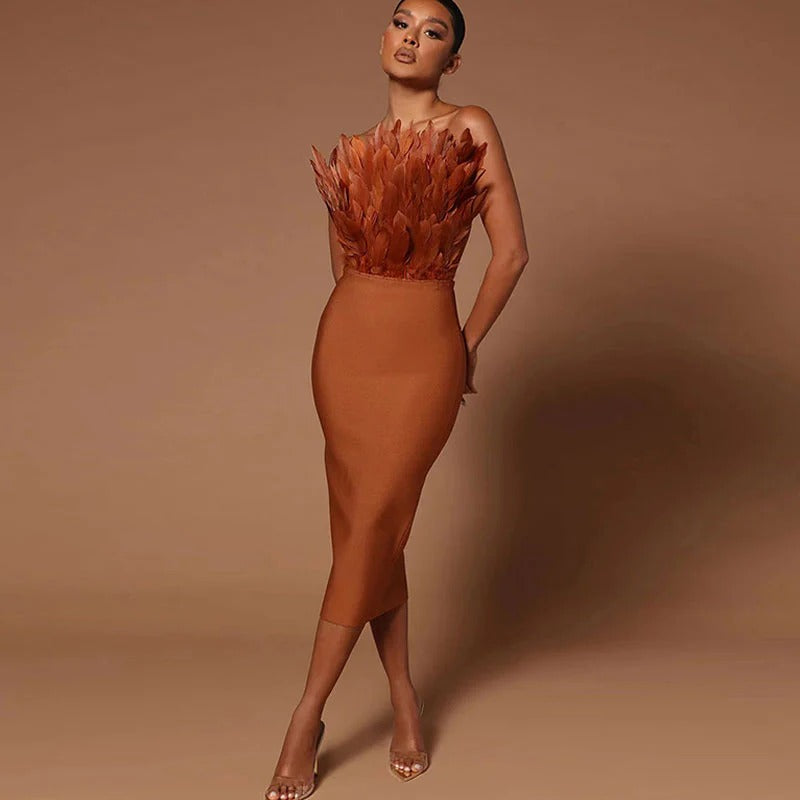 Liana Tube Dress with Feather Detailing