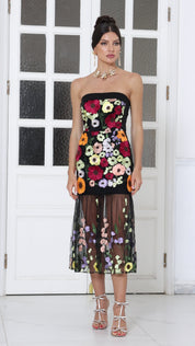 Sheer Elegance Dress