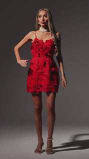 Scarlet Bloom Lace Mini Label Dress