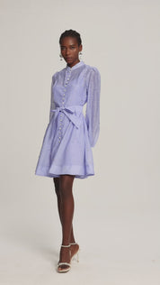Lilac Whisper Shirt Dress